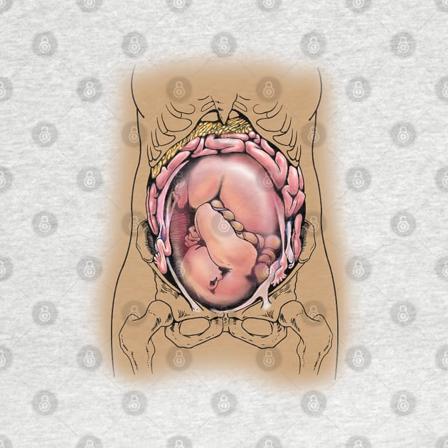 Fetus in Utero by GDanArtist